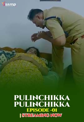 Pullinchikka E1